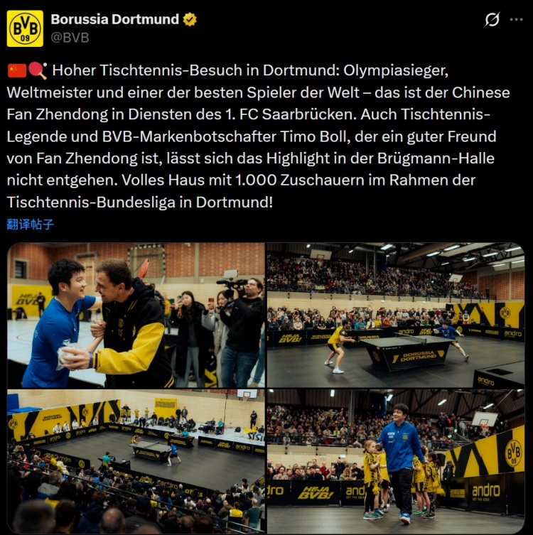 天天盈球官网-樊振东随队客战多特吸引上千球迷观战，多特死忠波尔也来到现场